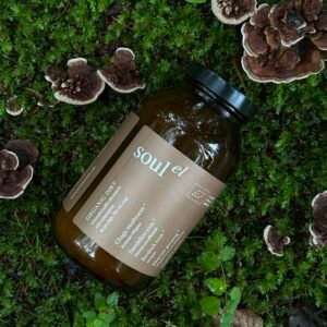 Soulel-Ekologiskas-DIRT-300x300