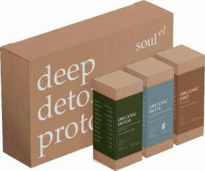 detox-all-am-300x250 (1)